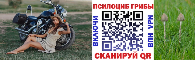 Галлюциногенные грибы MAGIC MUSHROOMS  Багратионовск 